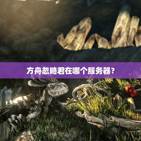 方舟忽略君在哪个服务器? 方舟忽略君在哪个服务器?