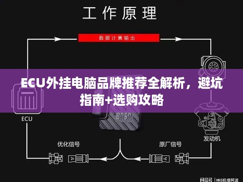 ECU外挂电脑品牌推荐全解析,避坑指南+选购攻略 ECU外挂电脑品牌推荐全解析,避坑指南+选购攻略