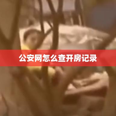 公安网怎么查开房记录