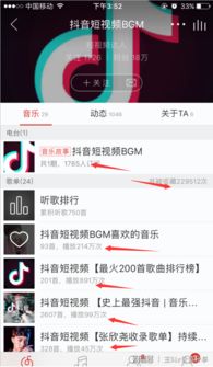 珠海金湾抖音月付取现全攻略 珠海金湾抖音月付取现全攻略