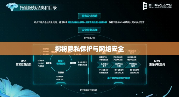 揭秘隐私保护与网络安全 揭秘隐私保护与网络安全