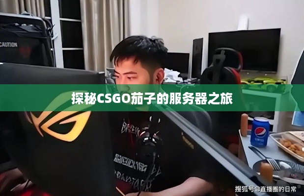 探秘CSGO茄子的服务器之旅 探秘CSGO茄子的服务器之旅