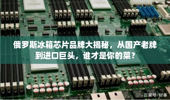 俄罗斯冰箱芯片品牌大揭秘,从国产老牌到进口巨头,谁才是你的菜? 俄罗斯冰箱芯片品牌大揭秘,从国产老牌到进口巨头,谁才是你的菜?