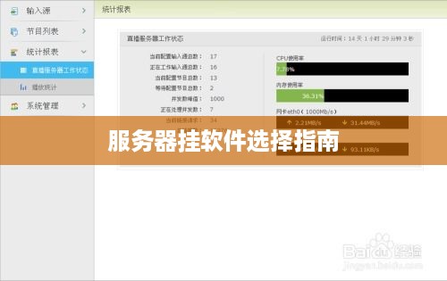 服务器挂软件选择指南 服务器挂软件选择指南