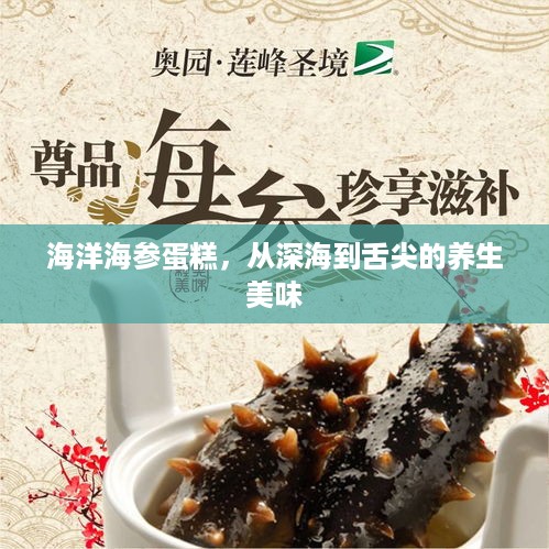 海洋海参蛋糕,从深海到舌尖的养生美味 海洋海参蛋糕,从深海到舌尖的养生美味