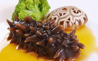 海洋海参蛋糕,从深海到舌尖的养生美味 海洋海参蛋糕,从深海到舌尖的养生美味
