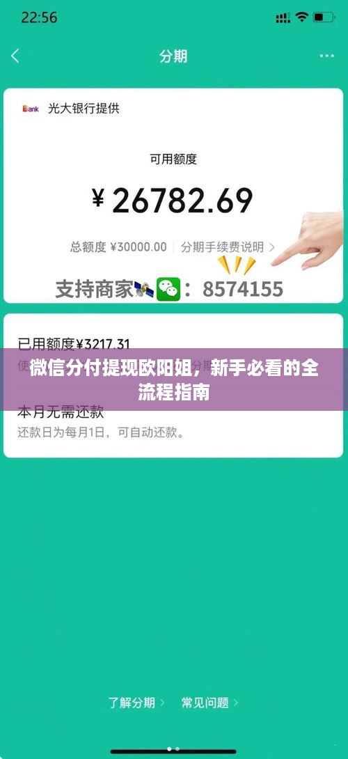 微信分付提现欧阳姐,新手必看的全流程指南 微信分付提现欧阳姐,新手必看的全流程指南