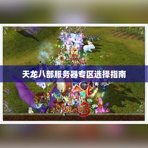 天龙八部服务器专区选择指南