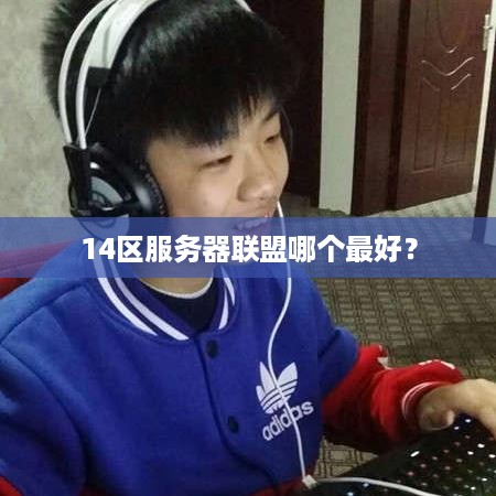 14区服务器联盟哪个最好? 14区服务器联盟哪个最好?