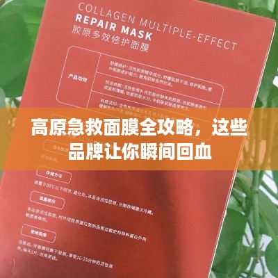 高原急救面膜全攻略,这些品牌让你瞬间回血 高原急救面膜全攻略,这些品牌让你瞬间回血