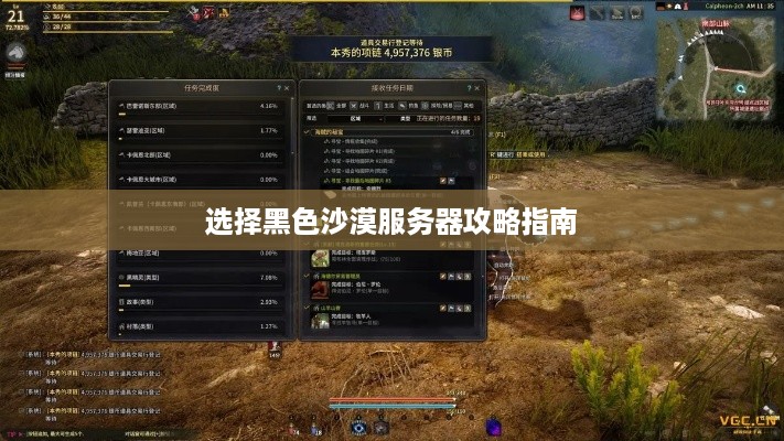 选择黑色沙漠服务器攻略指南
