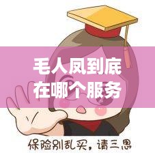毛人凤到底在哪个服务器？别急，一文告诉你！