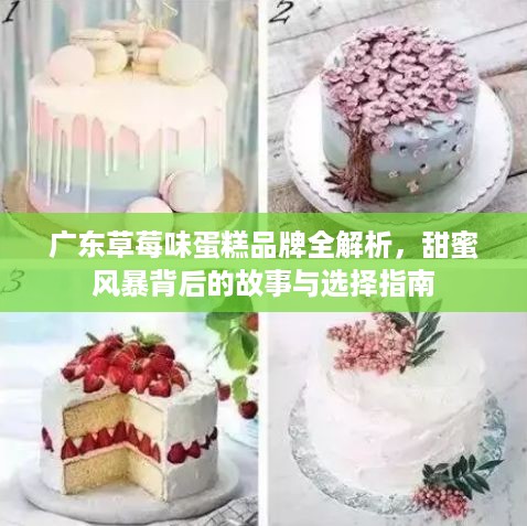 广东草莓味蛋糕品牌全解析,甜蜜风暴背后的故事与选择指南 广东草莓味蛋糕品牌全解析,甜蜜风暴背后的故事与选择指南