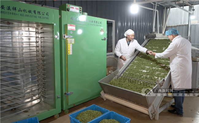 广西茶都崛起!手把手教你打造年入百万的茶叶加盟工厂店 广西茶都崛起!手把手教你打造年入百万的茶叶加盟工厂店