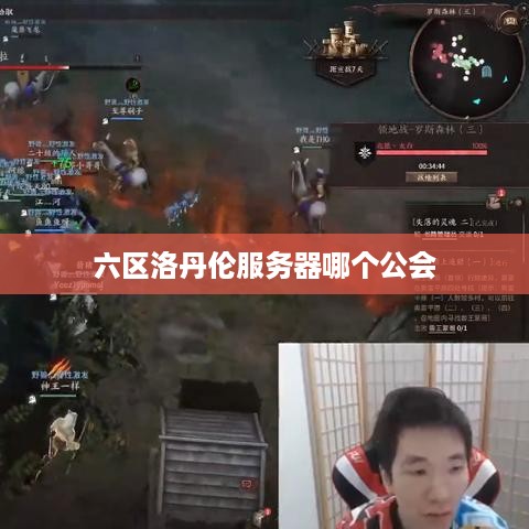 六区洛丹伦服务器哪个公会 六区洛丹伦服务器哪个公会