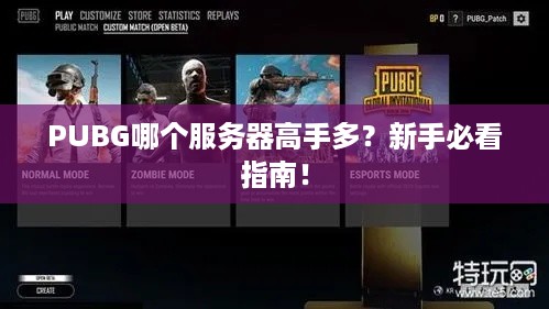 PUBG哪个服务器高手多?新手必看指南! PUBG哪个服务器高手多?新手必看指南!