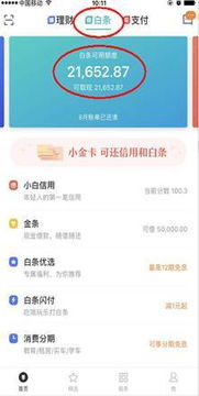 京东白条取现攻略,如何轻松实现3000元现金提取? 京东白条取现攻略,如何轻松实现3000元现金提取?