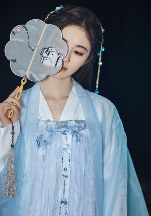 汉服头冠蓝色品牌全解析,从平价到高端的选购指南 汉服头冠蓝色品牌全解析,从平价到高端的选购指南