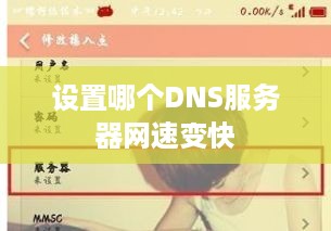 设置哪个DNS服务器网速变快