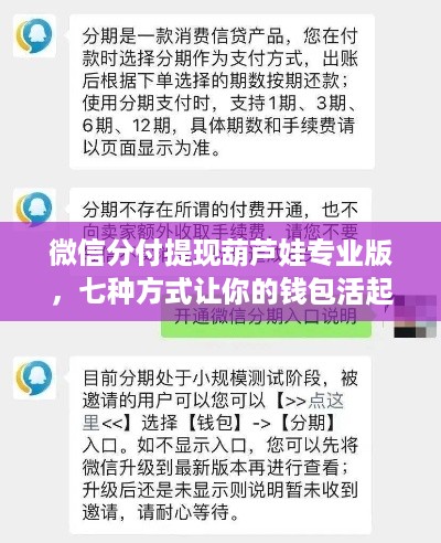微信分付提现葫芦娃专业版,七种方式让你的钱包活起来! 微信分付提现葫芦娃专业版,七种方式让你的钱包活起来!