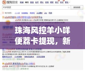 珠海风控羊小咩便荔卡提现,新手必看攻略,轻松搞定资金周转! 珠海风控羊小咩便荔卡提现,新手必看攻略,轻松搞定资金周转!