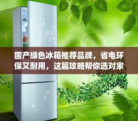 国产绿色冰箱推荐品牌,省电环保又耐用,这篇攻略帮你选对家电! 国产绿色冰箱推荐品牌,省电环保又耐用,这篇攻略帮你选对家电!
