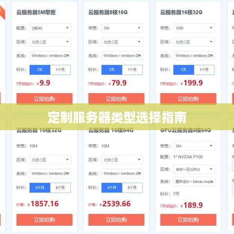 定制服务器类型选择指南