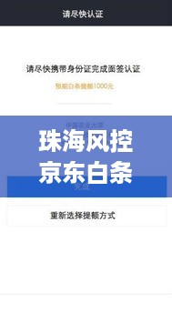 珠海风控京东白条提现,新手必看指南 珠海风控京东白条提现,新手必看指南