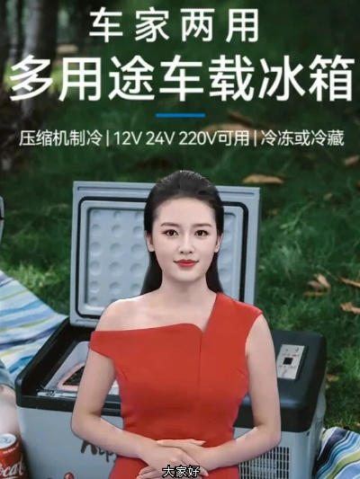 车载冰箱专用电瓶品牌全解析,选对电瓶,清凉一夏不翻车! 车载冰箱专用电瓶品牌全解析,选对电瓶,清凉一夏不翻车!