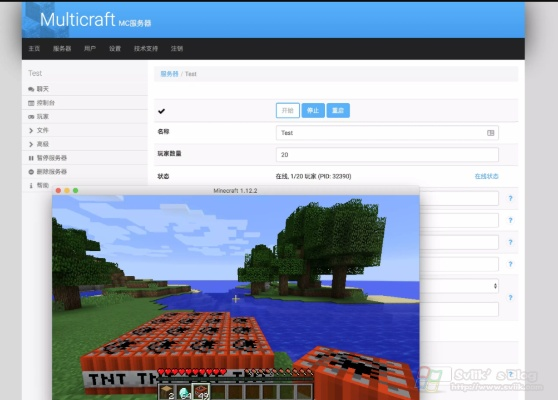 探索Minecraft服务器后台的奥秘