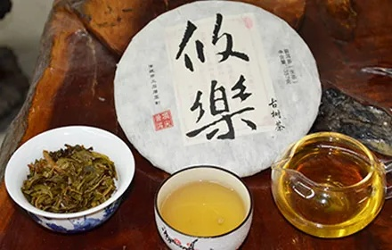 普洱茶界的宝藏品牌大揭秘,如何选到好喝又实惠的茶? 普洱茶界的宝藏品牌大揭秘,如何选到好喝又实惠的茶?