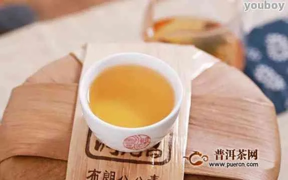 普洱茶界的宝藏品牌大揭秘,如何选到好喝又实惠的茶? 普洱茶界的宝藏品牌大揭秘,如何选到好喝又实惠的茶?