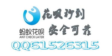 京东白条取现与蚂蚁借呗比较指南 京东白条取现与蚂蚁借呗比较指南