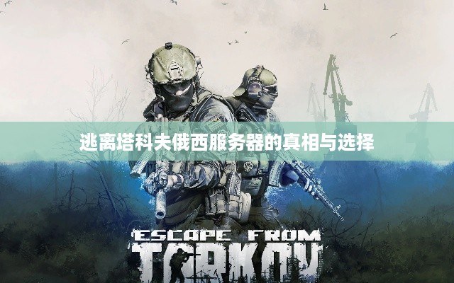 逃离塔科夫俄西服务器的真相与选择 逃离塔科夫俄西服务器的真相与选择