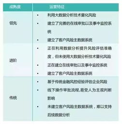 珠海风控白条提现全解析