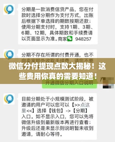 微信分付提现点数大揭秘！这些费用你真的需要知道！