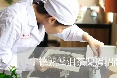 宁德正规茶叶品牌加盟全攻略,如何选择+避坑指南 宁德正规茶叶品牌加盟全攻略,如何选择+避坑指南