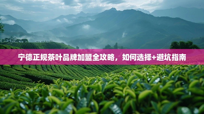宁德正规茶叶品牌加盟全攻略,如何选择+避坑指南 宁德正规茶叶品牌加盟全攻略,如何选择+避坑指南