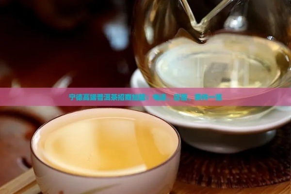 宁德正规茶叶品牌加盟全攻略,如何选择+避坑指南 宁德正规茶叶品牌加盟全攻略,如何选择+避坑指南