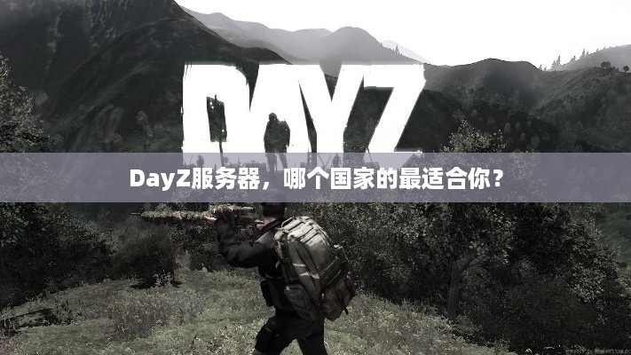DayZ服务器,哪个国家的最适合你? DayZ服务器,哪个国家的最适合你?