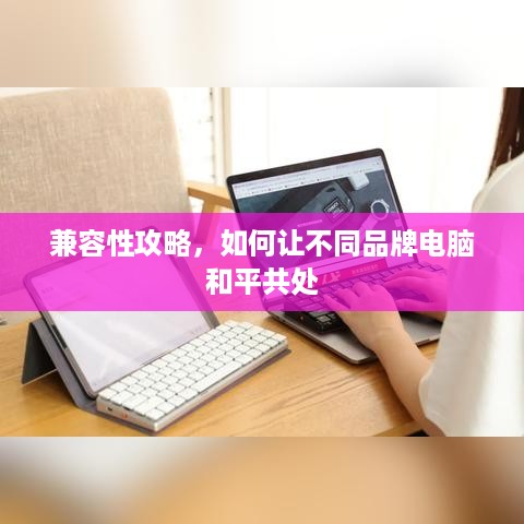 兼容性攻略,如何让不同品牌电脑和平共处 兼容性攻略,如何让不同品牌电脑和平共处