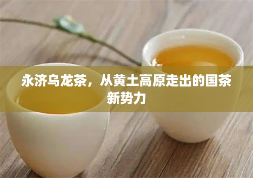 永济乌龙茶,从黄土高原走出的国茶新势力 永济乌龙茶,从黄土高原走出的国茶新势力