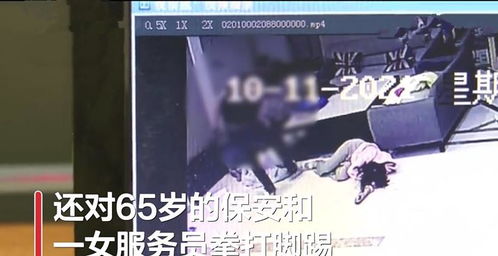 揭秘，如何安全有效地查询他人开房记录？