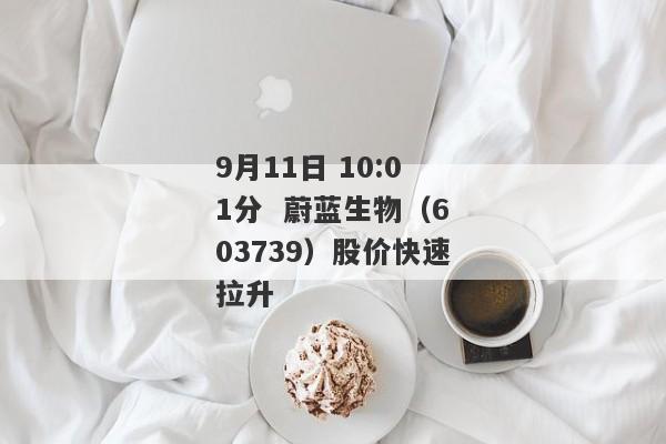 9月11日 10:01分 蔚蓝生物（603739）股价快速拉升