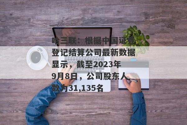哈三联：根据中国证券登记结算公司最新数据显示，截至2023年9月8日，公司股东人数为31,135名