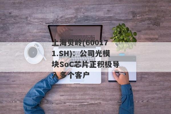 上海贝岭(600171.SH)：公司光模块SoC芯片正积极导入多个客户