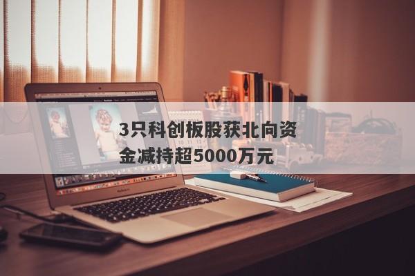 3只科创板股获北向资金减持超5000万元