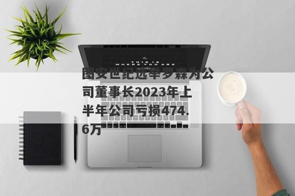 图安世纪选举罗森为公司董事长2023年上半年公司亏损474.6万