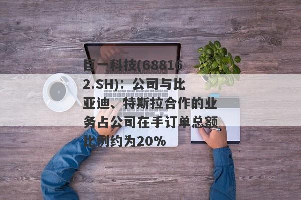 巨一科技(688162.SH)：公司与比亚迪、特斯拉合作的业务占公司在手订单总额比例约为20%