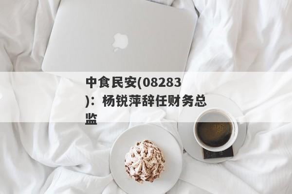 中食民安(08283)：杨锐萍辞任财务总监